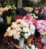 Florists_San Francisco_Abigail's Flowers_Store.jpg