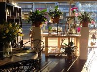 Florists_Maroochydore_Australia_iblossom_Storefront.jpg