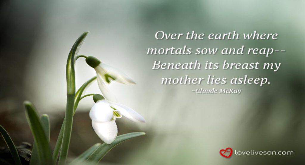 Funeral Poem for Mother Meme: My Mother