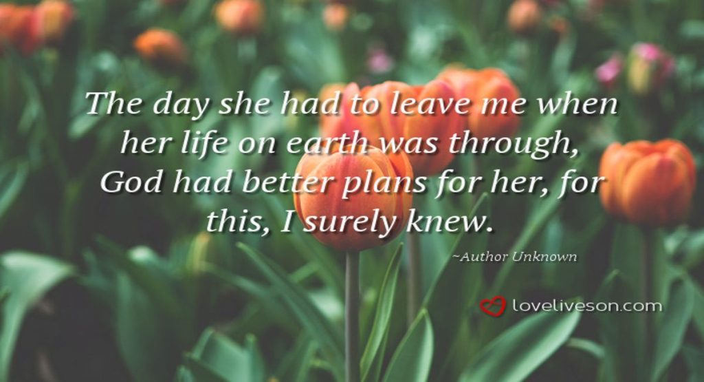 Funeral Poem for Mother Meme: Farewell Dear Mother