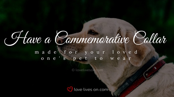 Celebration of Life Ideas: Make a Commemorative Pet Collar