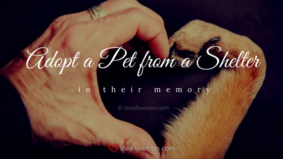 Celebration of Life Ideas: Adopt a Pet