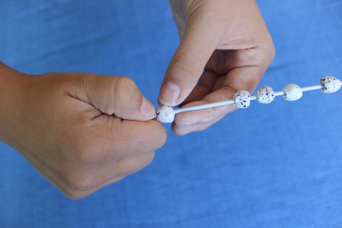 Demonstrating how to make rosary beads from dried flowers