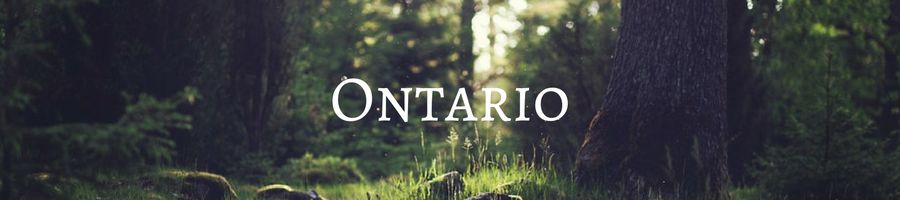 Heading: Memorial Trees and Memorial Benches in Ontario 
