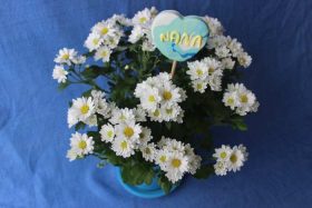 Cover Photo: DIY Memorial Crafts for Kids