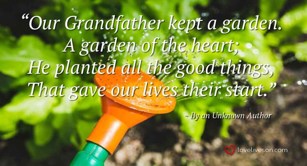 21 Best Funeral Poems For Grandpa Love Lives On