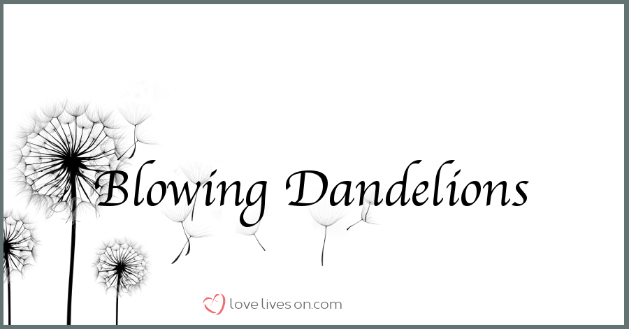 dandellions_blowing