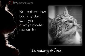 50+ Beautiful Loss of Pet Quotes 50+ Beautiful Loss of Pet Quotes