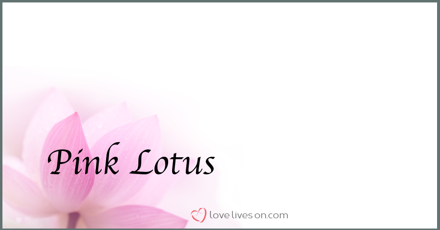 pink_lotus