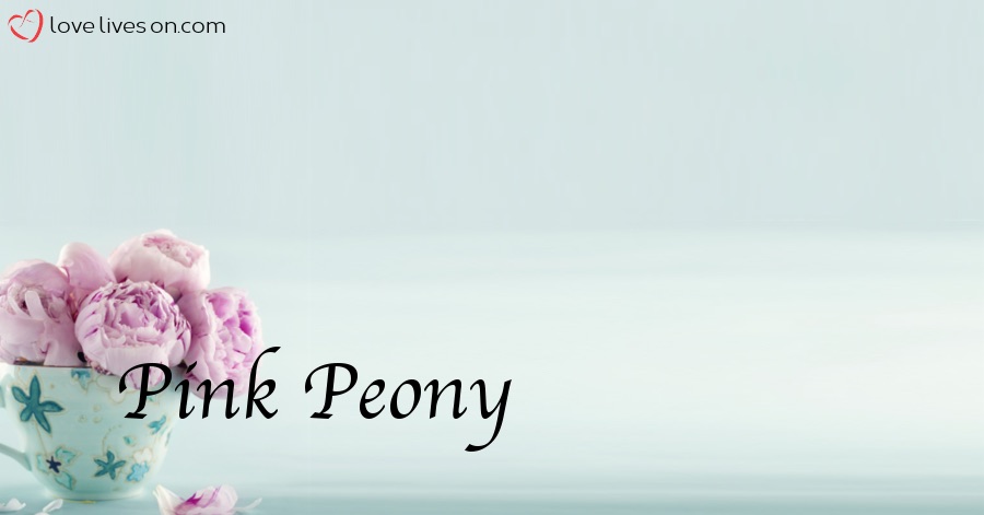 pink_peony