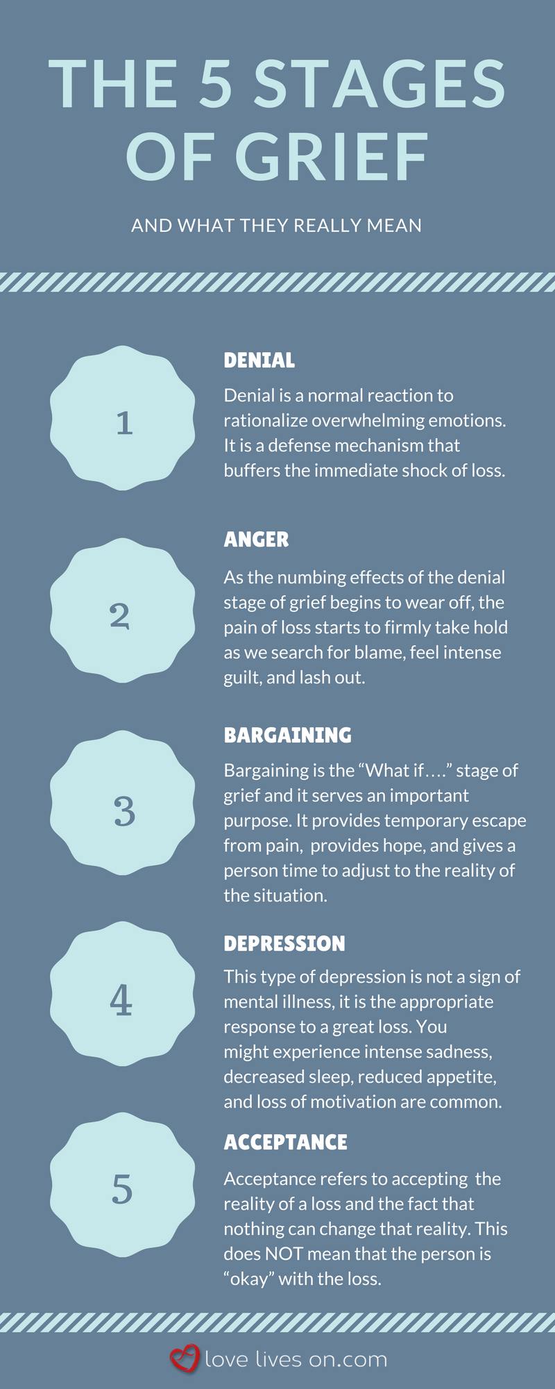 Gon and the 5 Stages of Grief. An in-depth Analysis