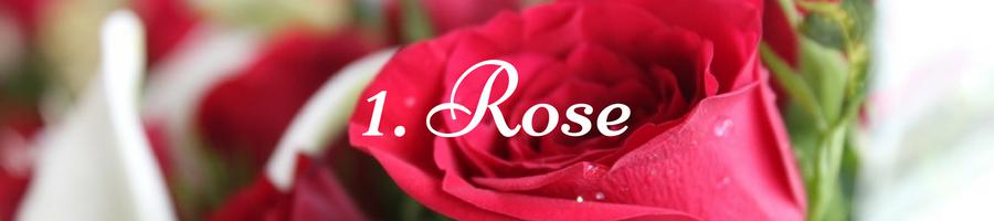 Heading: Rose Meaning