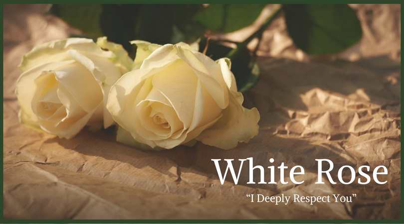 a white rose poem symbolism