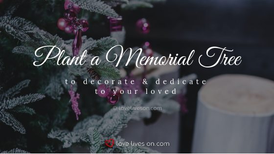 Remembering Loved Ones at Christmas by Planting a Memorial Tree