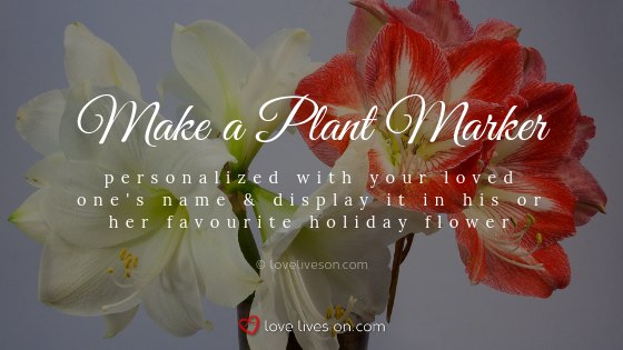 Remembering Loved Ones at Christmas With a Favourite Flower