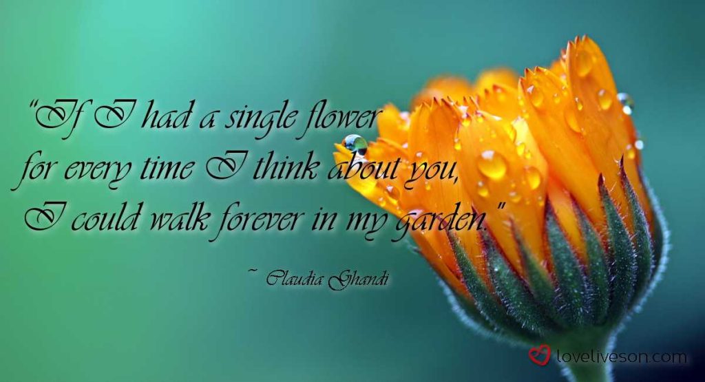 Shareable graphic meme with text overlay that says if I had a single flower for every time I think about you, I could walk forever in my garden. This is how I deal with grief. Background is a yellow orange flower.
