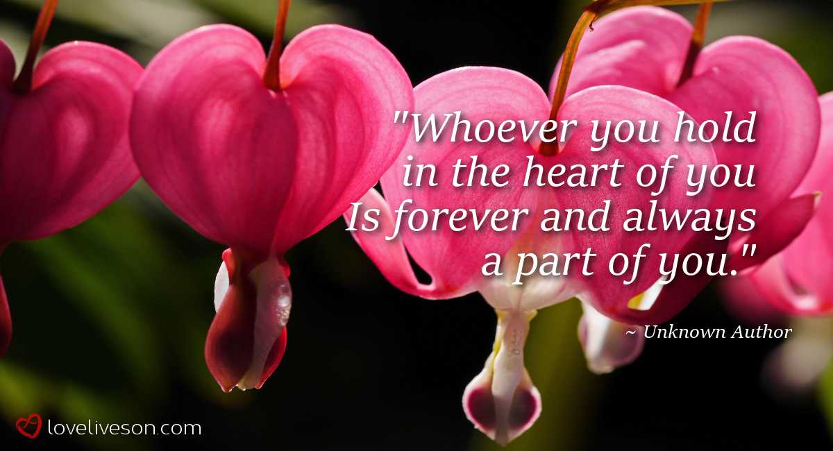 Shareable graphic meme with text overlay that says whoever you hold in the heart is forever and always a part of you. This is how I deal with grief. Background are pink flowers.