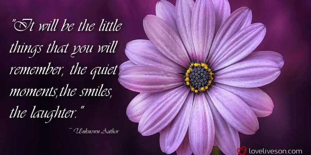 Shareable graphic meme with text overlay that says it will be the little things that you will remember, the quiet moments, the smiles, the laughter. This is how I deal with grief. Background is a purple flower.