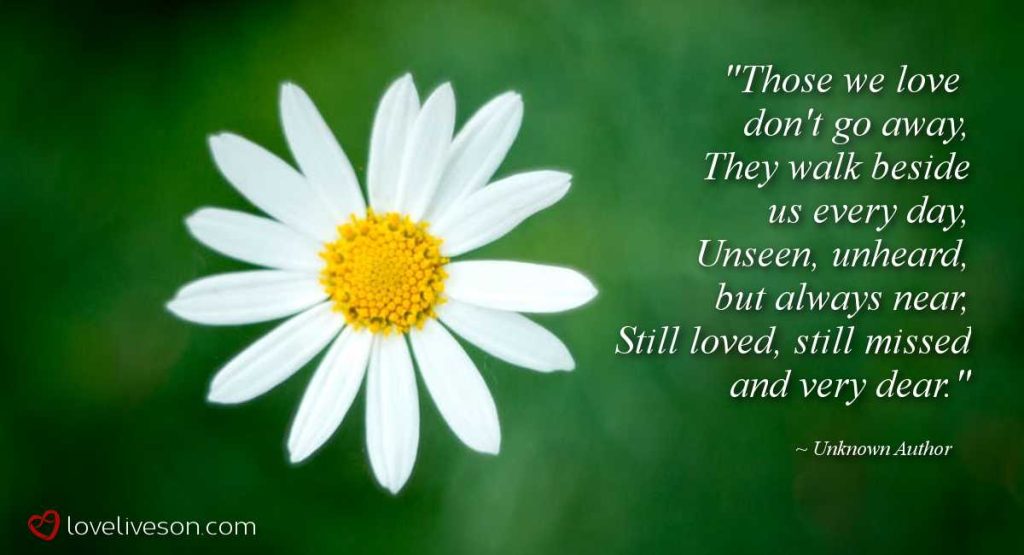 Shareable graphic meme with text overlay that says those we love don't go away. This is how I deal with grief. Background is a white flower, a daisy.