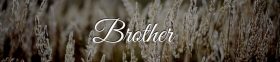 Condolences | 275+ Best Messages You Can Use | Love Lives On