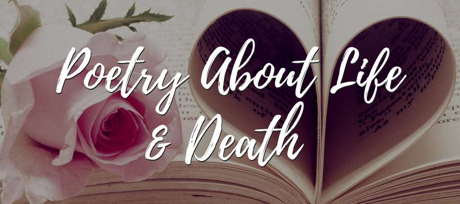 100+ Heartfelt Poems About Death  Love Lives On