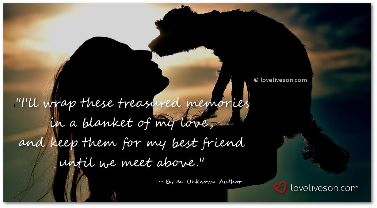 Poems About Of A Loved Dog Infoupdate