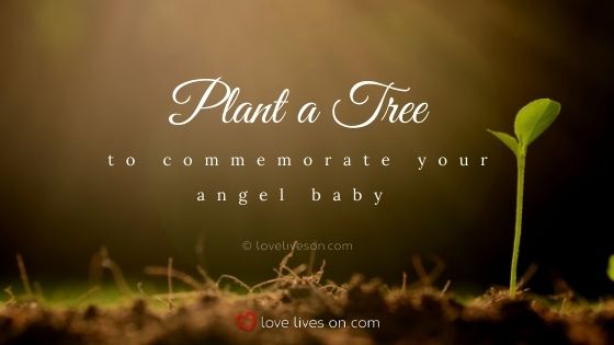 Plant a tree for your rainbow baby and angel baby