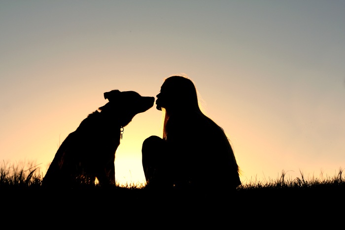 50+ Beautiful Loss of Pet Quotes 50+ Beautiful Loss of Pet Quotes
