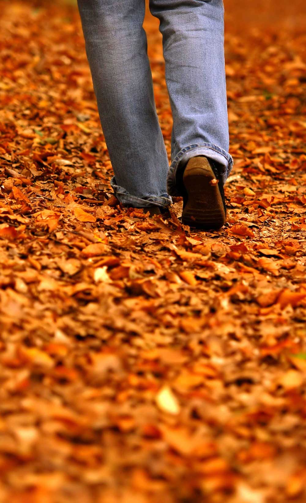 about_us_content_pic