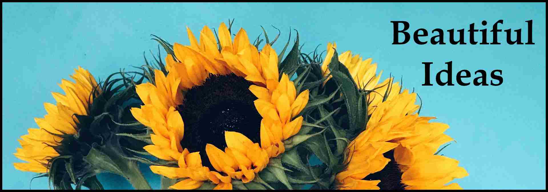 Graphic subheading with text overlay that says "Beautiful Ideas"