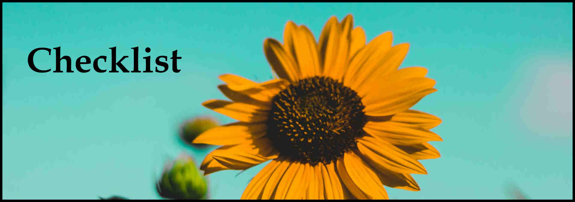 Graphic subheading with text overlay that says "Checklist"