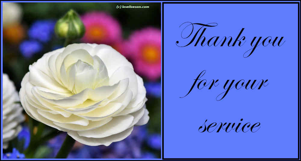 Decorative image that says "Thank You for Your Service"