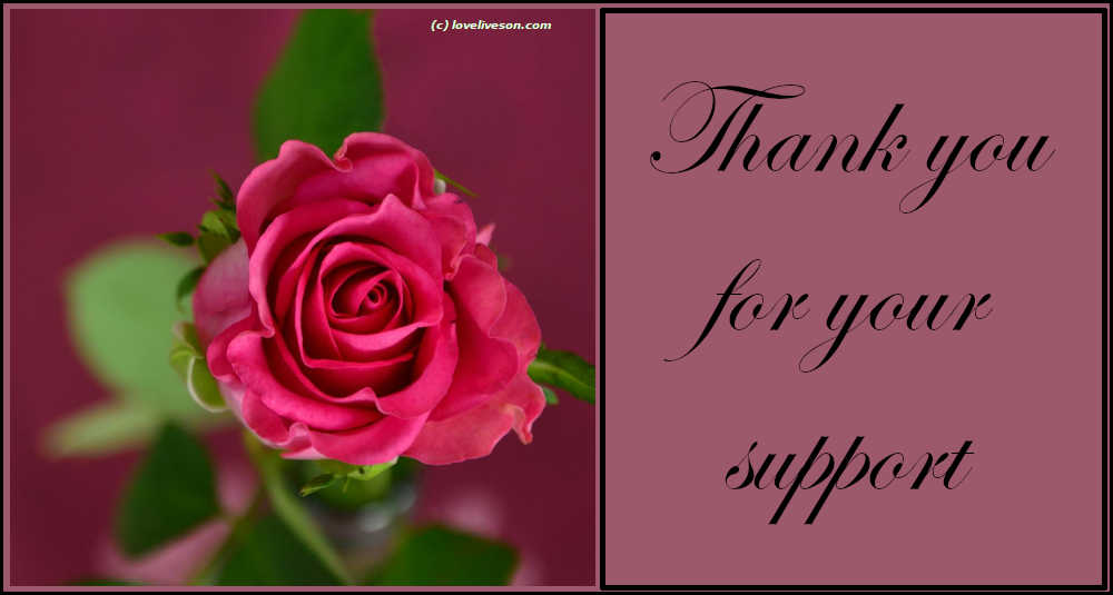 Decorative image that says "Thank You for Your Support"