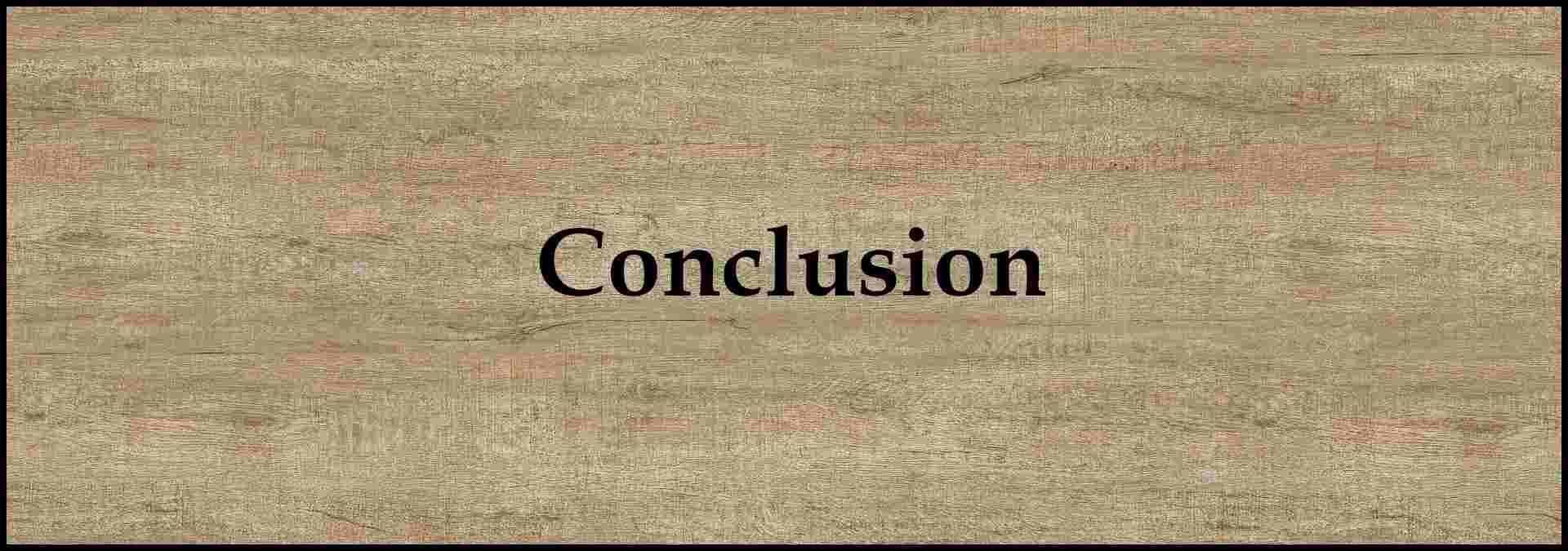 Decorative image for subheading which states: "Conclusion"