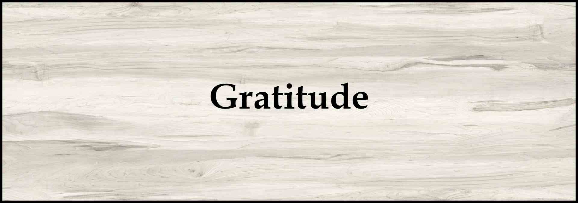 Decorative image for subheading which states: "Gratitude"