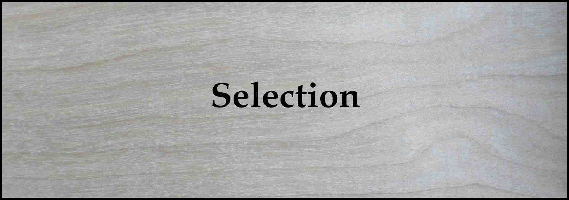 Decorative image for subheading which states: "Selection"
