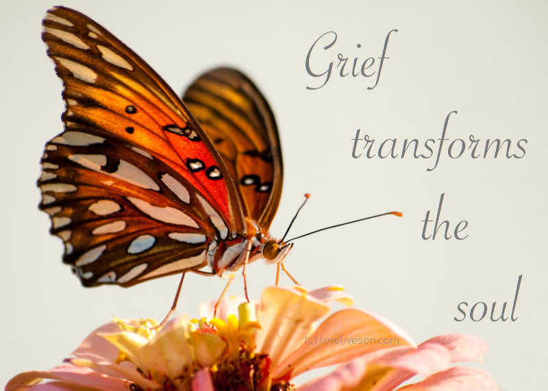 Shareable graphic meme with text overlay that says: Grief transforms the soul. Background is an orange butterfly.