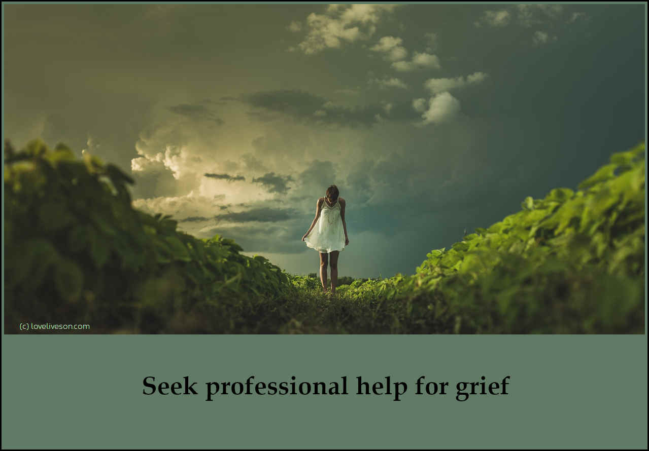 Shareable graphic meme with text overlay that says how to help someone who is grieving - seek professional help for grief. Background is a woman walking in the distance under storm clouds.