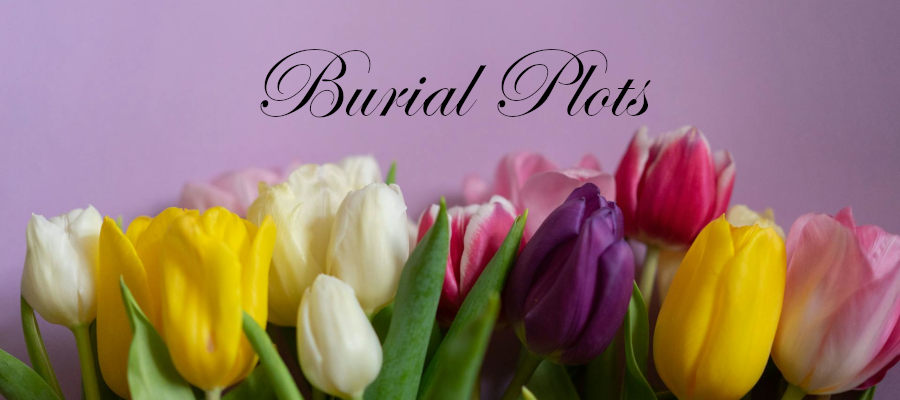 Banner heading graphic with text overlay that says burial plot costs. Background is purple with colourful tulips.