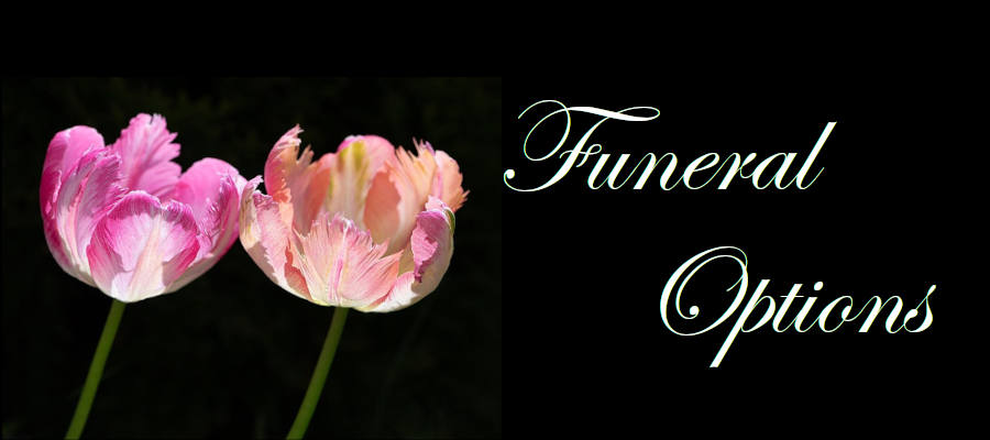 Banner heading graphic with text overlay: Types of Funerals - Funeral Options. Background is tulips against a plain black background.