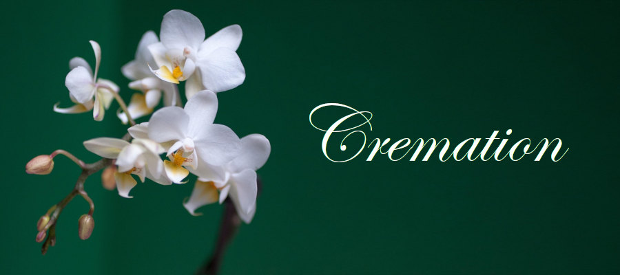 Banner heading graphic with text overlay that states "Cremation." Background is an orchid.