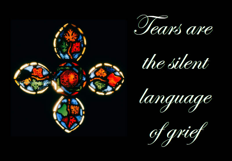 Shareable Meme Graphic with text that says tears are the silent language of grief against a background of a stained glass window
