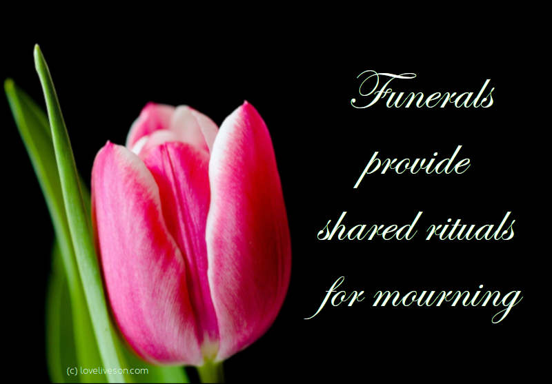 Shareable graphic or meme about types of funerals with text overlay: Funerals provide shared rituals for mourning. Background is a pink tulip against a plain black background.
