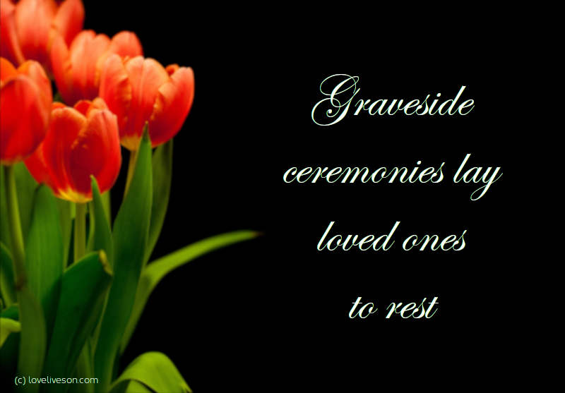 Shareable graphic or meme about types of funerals with text overlay: Graveside ceremonies lay loved ones to rest. Background is tulips against a plain black background.