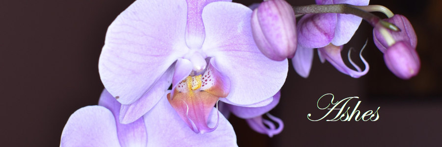 Subheading graphic with text overlay that states "Cremation Ashes." Background is an orchid.