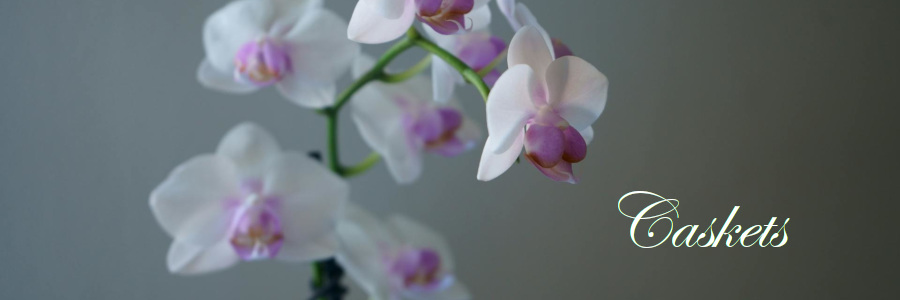 Subheading graphic with text overlay that states "Cremation Caskets." Background is an orchid.
