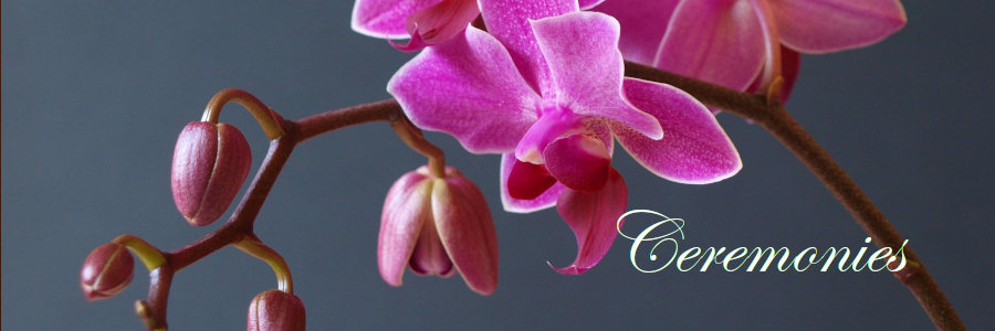 Subheading graphic with text overlay that states "Cremation Ceremonies." Background is an orchid.
