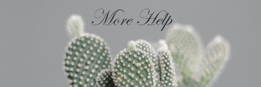 Subheading graphic with text overlay that says More Help on How to Plan a Funeral. Background is a cactus.