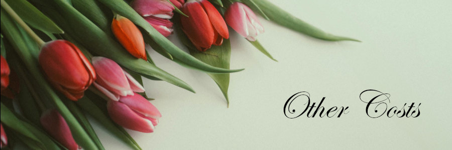 Subheading graphic with text overlay that says Burial Plot Cost - Other Costs. Background is green with red and pink tulips.