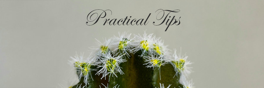 Subheading graphic with text overlay that says Practical Tips for How to Plan a Funeral. Background is a cactus.